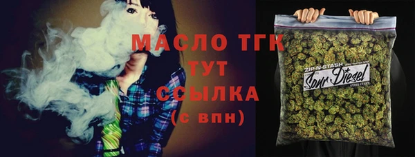 соль ск Михайлов