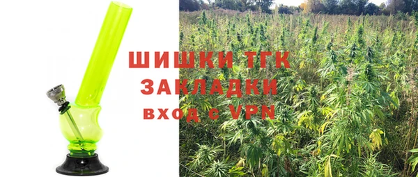соль ск Михайлов
