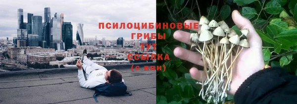 соль ск Михайлов