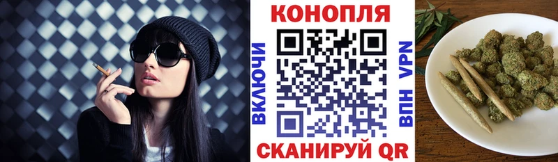 МАРИХУАНА план  что такое   Новая Ладога 